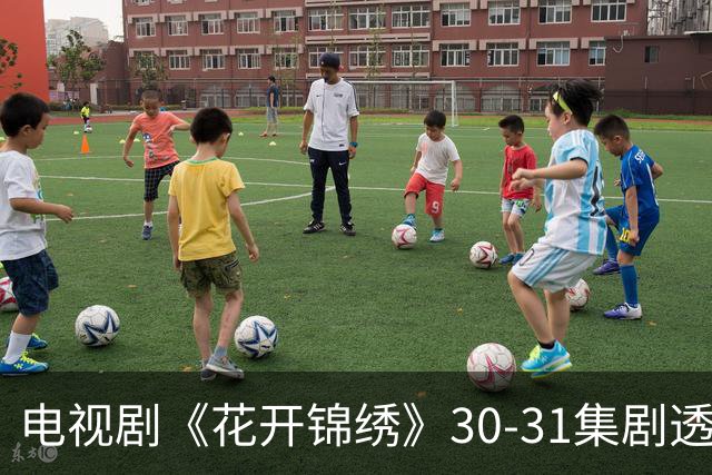电视剧《花开锦绣》30-31集剧透：赵凌曝光贪污证据，吴太太安葬，傅庭芸为丈夫提供支持